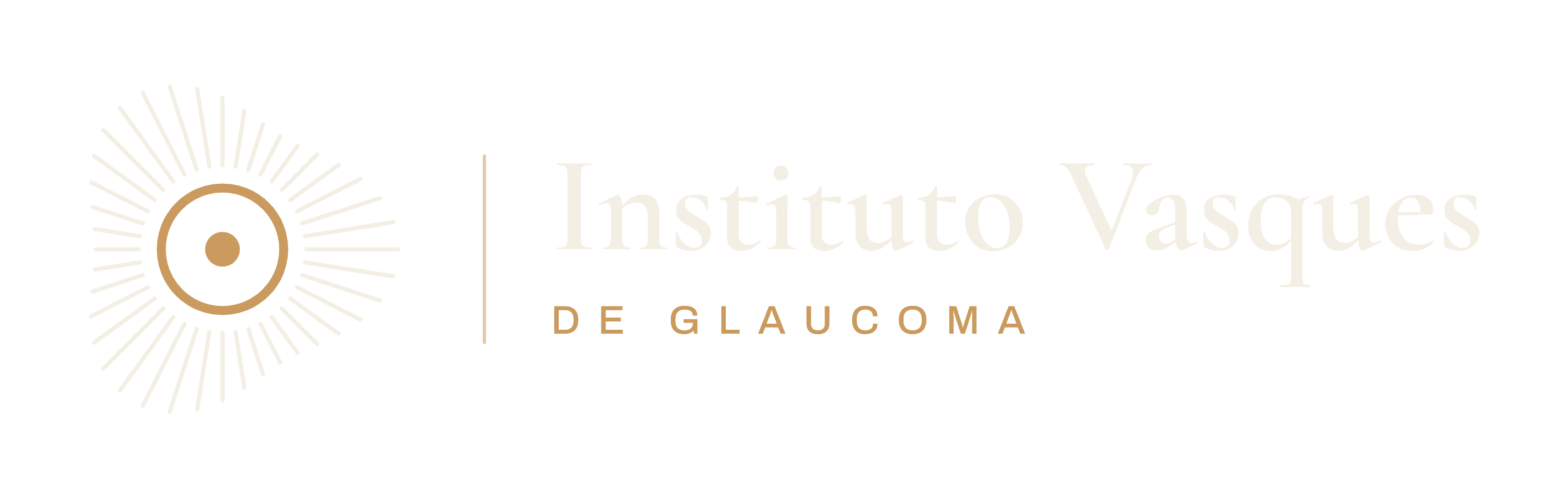 Instituto Vasques de Glaucoma
