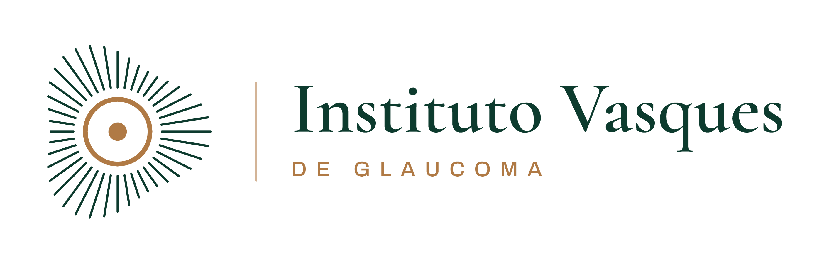 Instituto Vasques de Glaucoma